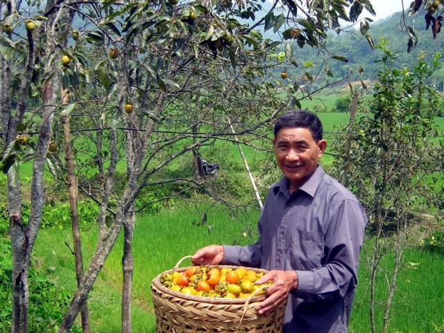 Bac Kan promotes agricultural products with geographical origin indicated - ảnh 1